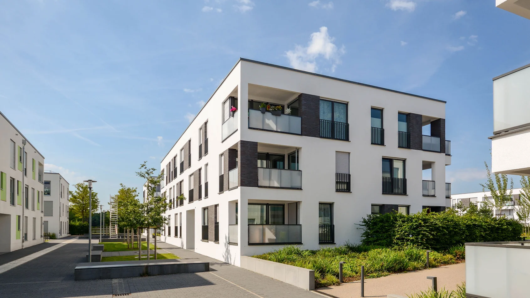 Holzer Baumanagement
